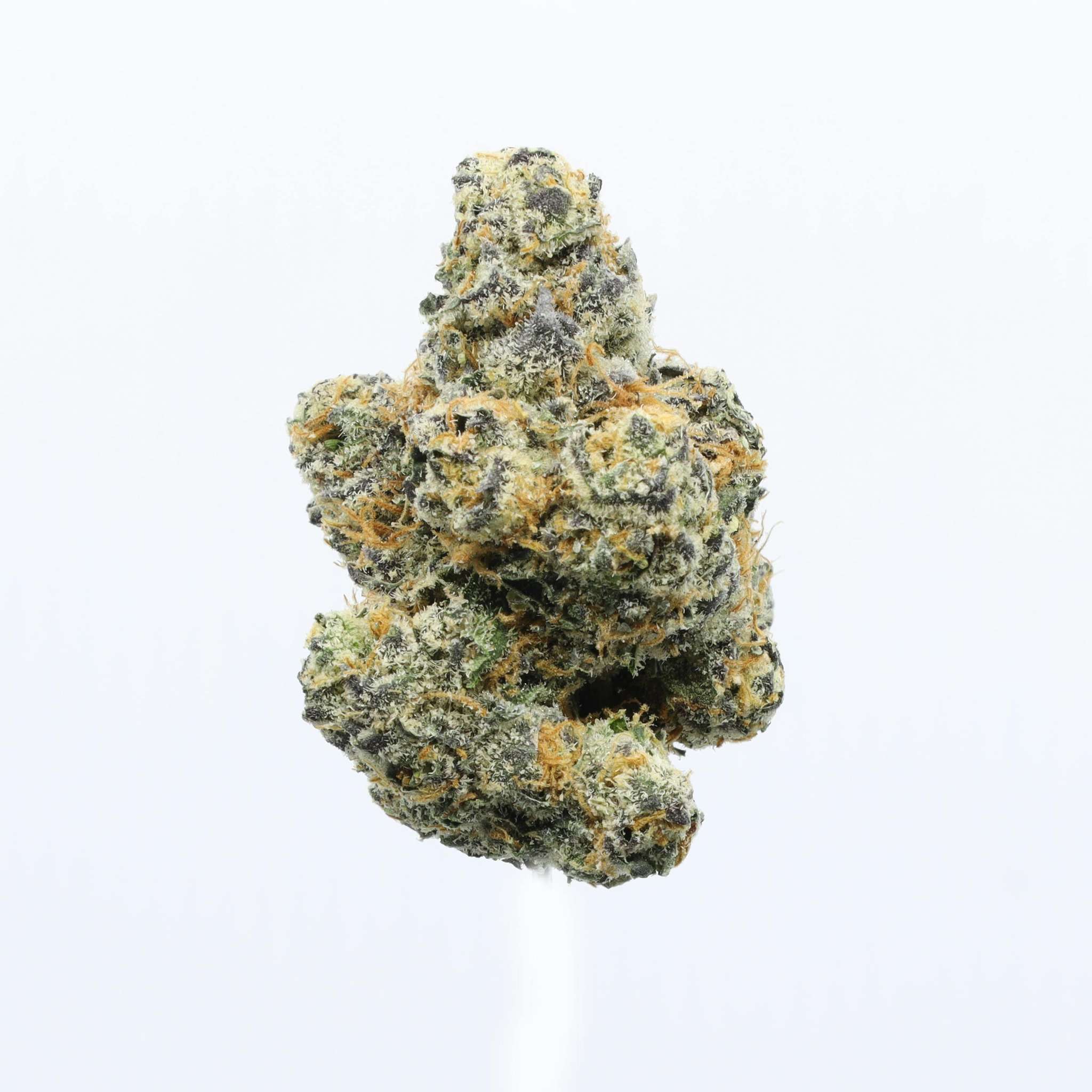 Rainbow Guava